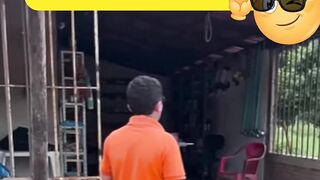 Ele Queria apenas chamar a dona do comercio kkkkkkkkkk