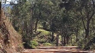 Minas Gerais