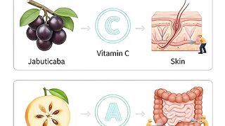 Vitamin 2