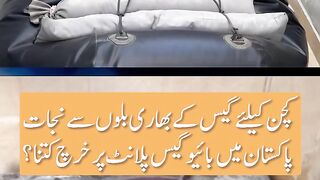 Ummat Digital