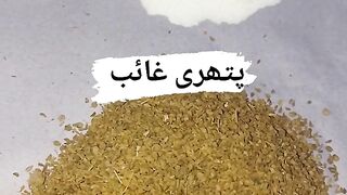کاشف دواخانہ