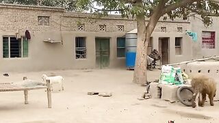 کچھ پرانی یادیں گاؤں کی 2