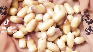 Khajor
