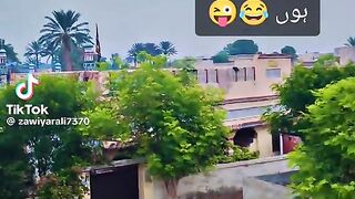 zawiyaraali