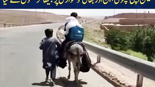 Daily Ausaf 5