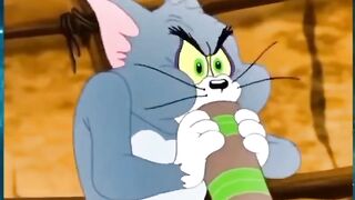 Tom Picks a Fight With the WRONG Cat! 😂🐱 | Cartoon Showdown