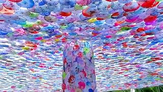 Umbrella Trees