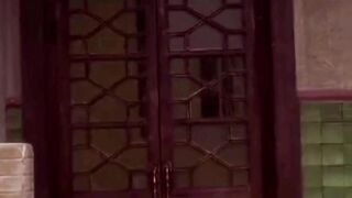 Kung Fu Hastle