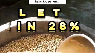 Dengan pelet protein 28% Apa iya lele bisa besar