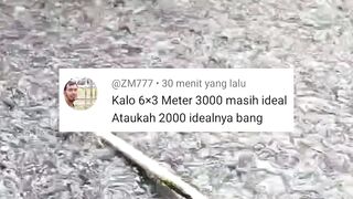 Kalau gak FAHAM atau nanya lagi❗ KEBANGETAN