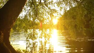 This is My Father's World (Instrumental) peaceful sunrise series, Hymn arranged by Tim Janis