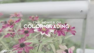 Huawei cinematic video shorts camera test 2