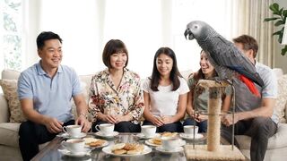 O Homem e o Papagaio Fofoqueiro 🦜😂.mp4