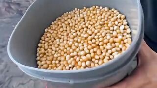 Pipoca quente