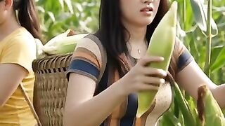 Harvesting corn together