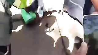 Detido indivíduo que se fazia passar por polícia de trânsito na cidade de Maputo. 2