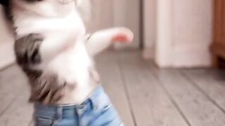 A dance to remember