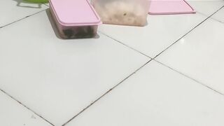 Edukasi, Motivasi, Inspirasi, Faktaunik, Quotes, febspot video, viral, fyp, shorts, 281