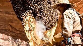 Honey hunter on cliff