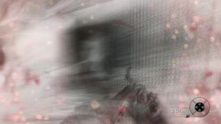 Call of Duty Black Ops 243
