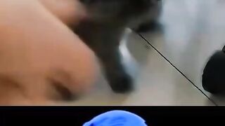 Video 697