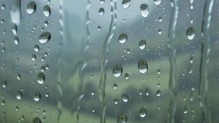 Solitude and Rain in Ancient Library #studyfocus  #solitude #peace