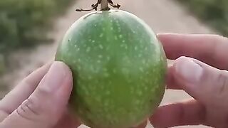O que achei andando na area rural!