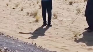 Allah Ki Qudrat