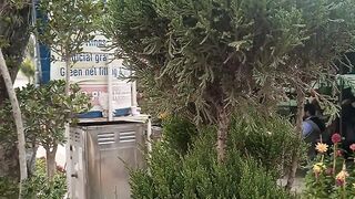 Juniper tapyari
