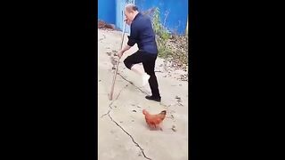 funny moments