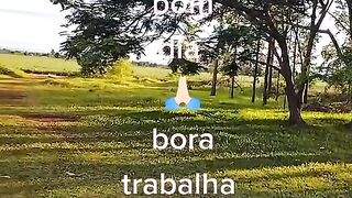 Motivaçaodiaria