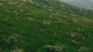 Pashto poetry