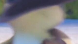 Cartoon video