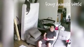 Funny