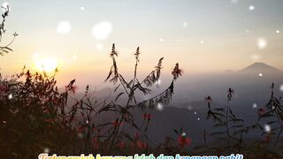 Immerse yourself with tiredness and bitter memories, I will wait for your return to bring new hope.