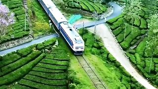 beautiful train passing