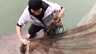 Tik tok videos