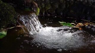 spring water