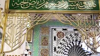 مدینہ بڑا سونا ہے