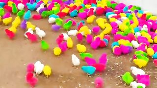 Colour full Chick ????