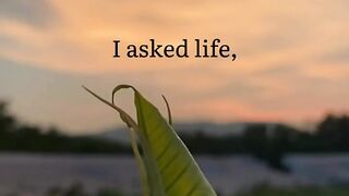 Make Life Easy 2