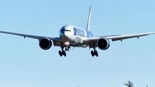 🔥 NATIONAL AIRLINES BOEING 777F LANDING AT PAINE FIELD! ✈️