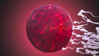 FERTILITY 1