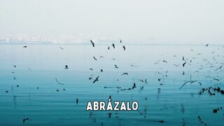 Ama tu destino: El secreto estoico para una paz inquebrantable