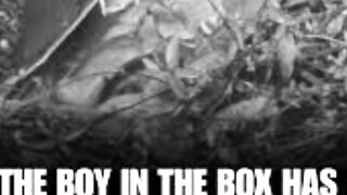 The boy in The box
