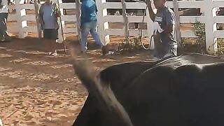 Feira em sume