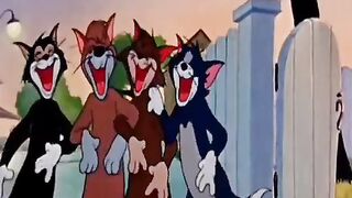 Tom Walks Into the WRONG Neighborhood! 😂🐱 | Cat Gang Chaos