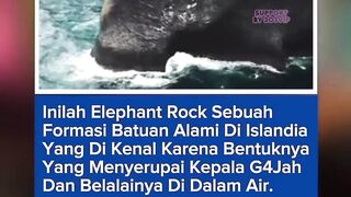 303NEWS 106