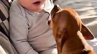So beautiful baby 4