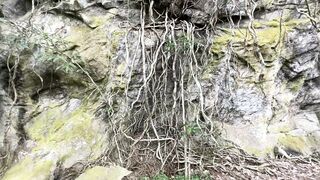 Natureza sempre nos surpreende